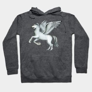 Magical flying pegasus Hoodie